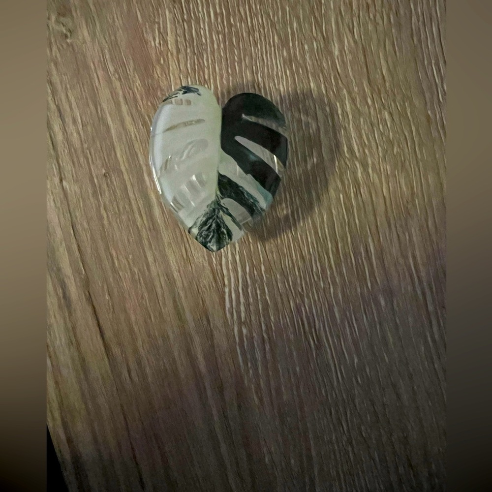 New Monstera albo plant pop socket